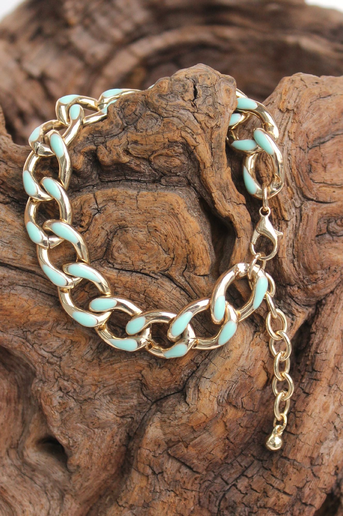 Chain Link Bracelet, Mint