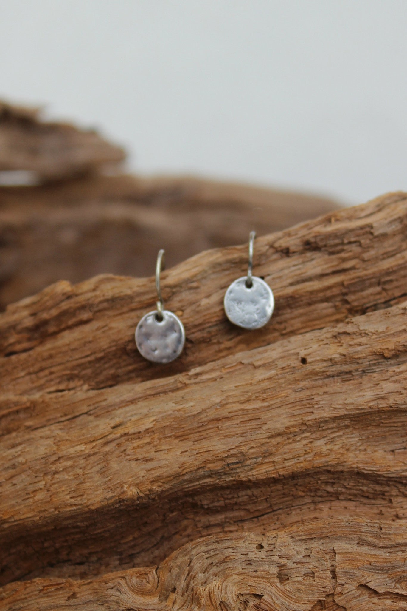 Metal Disc Earrings, Silver