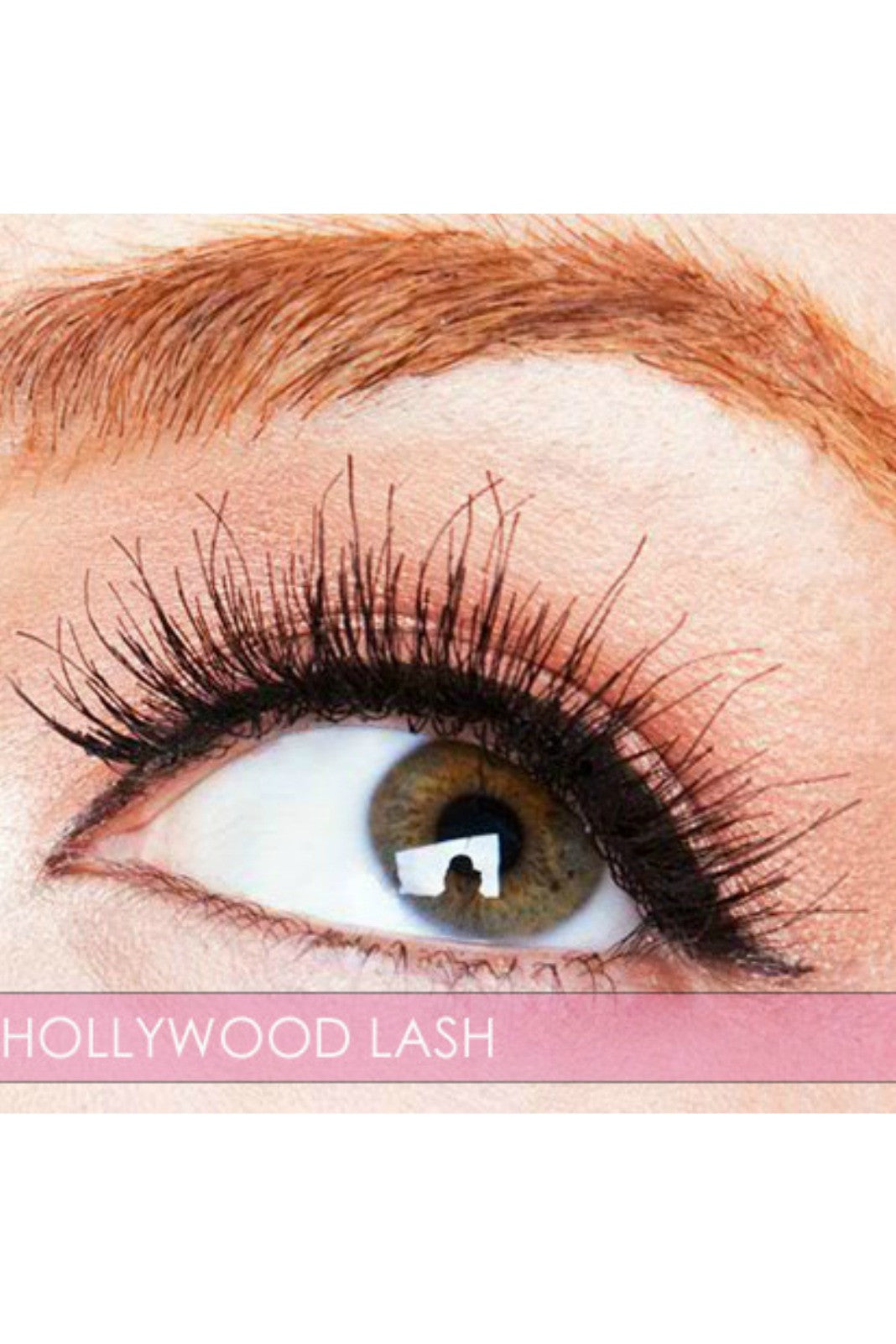 Hollywood Lash