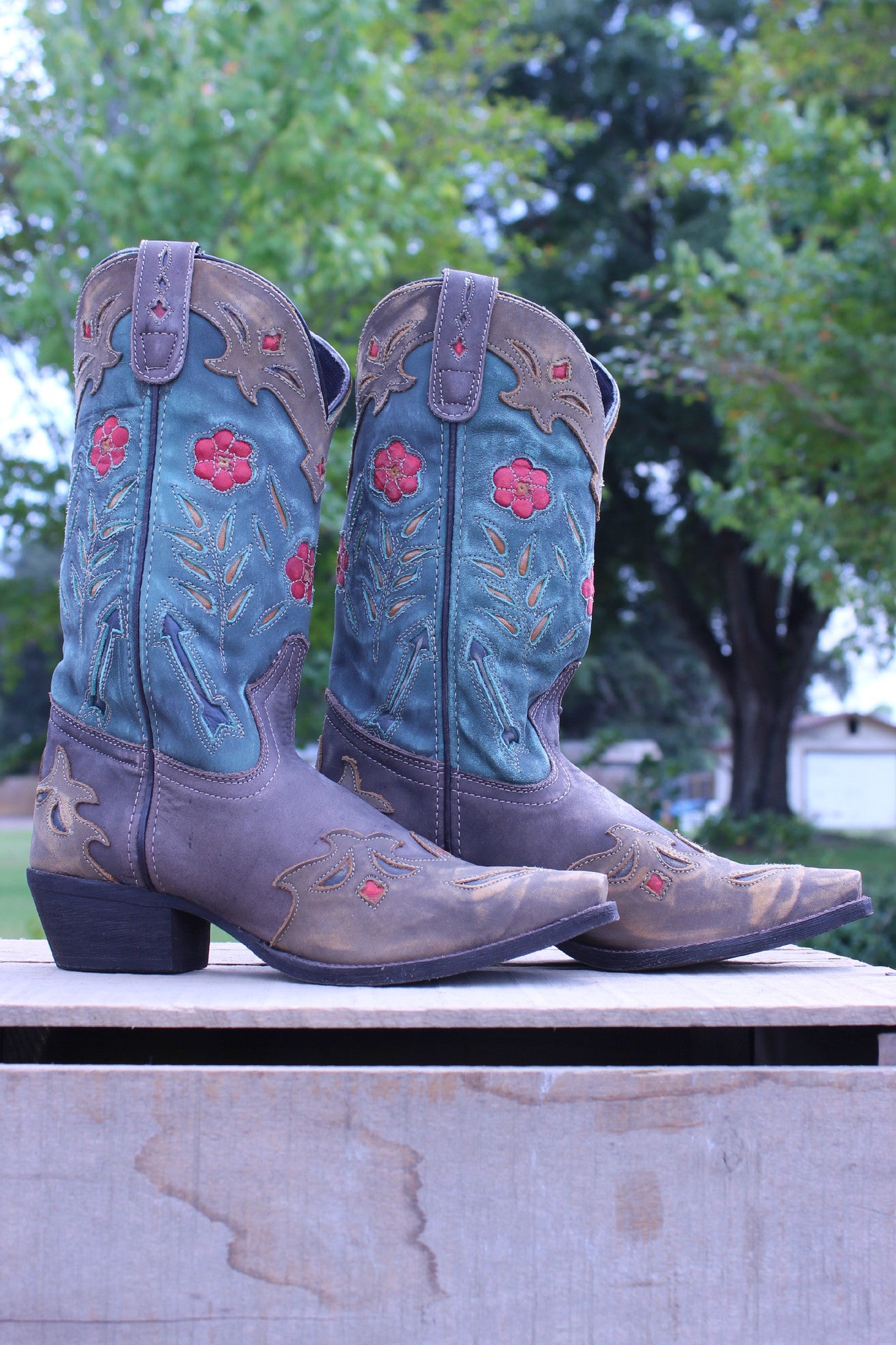 Laredo: Miss Kate, Brown/Teal