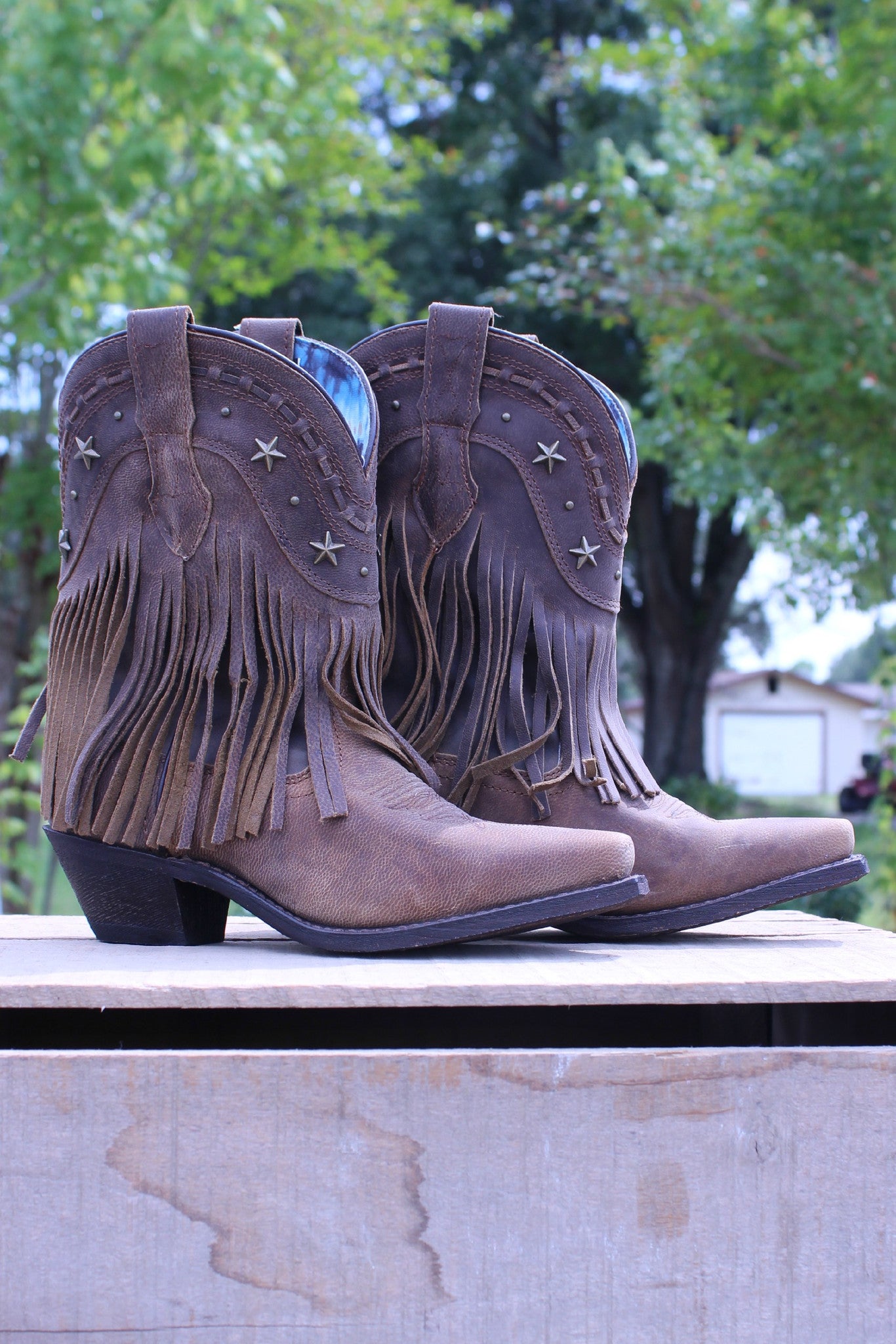 Dingo: Hang Low Fringe Boots, Brown