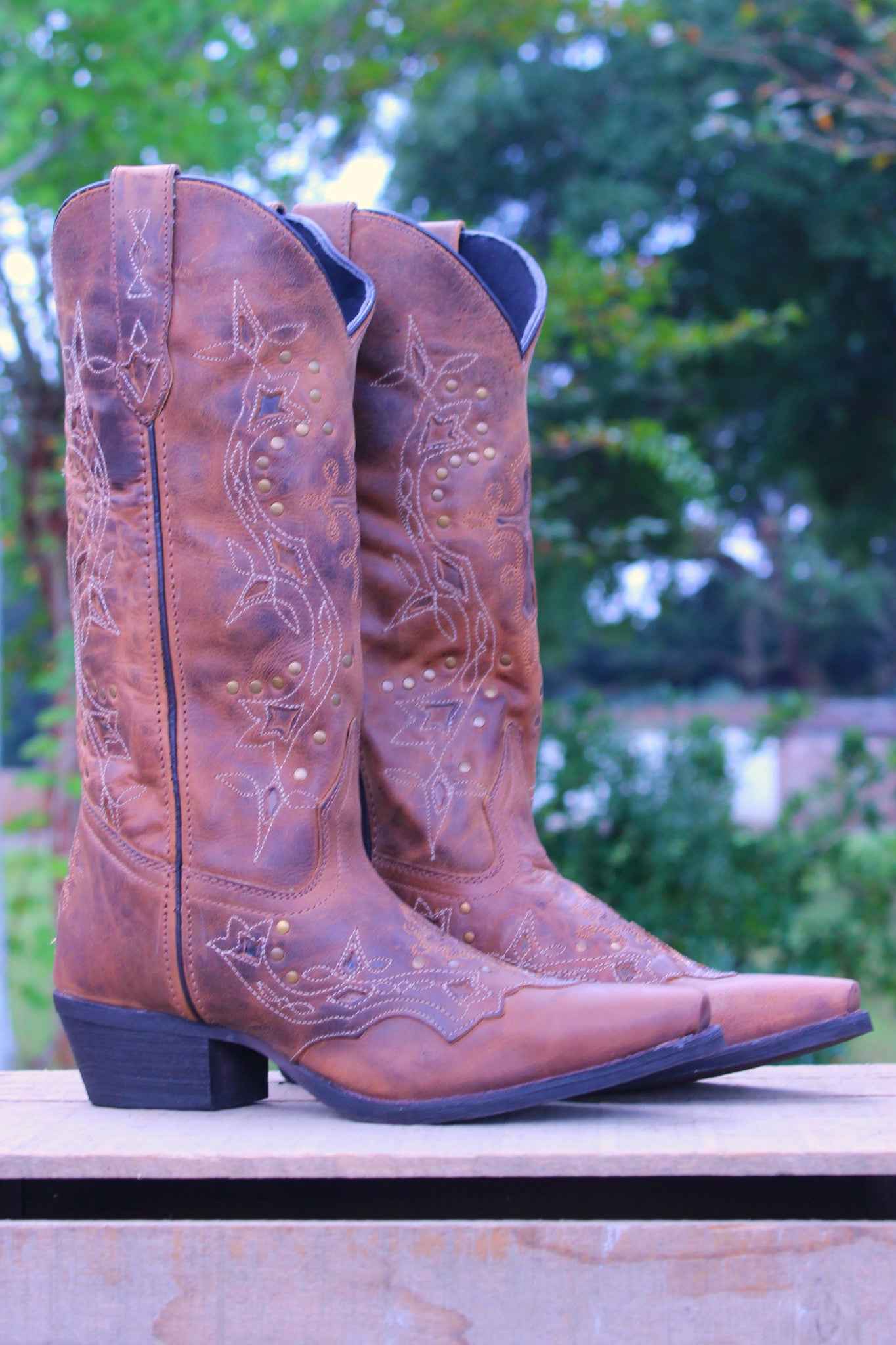 Laredo: Cross Snip Toe Boots, Brown