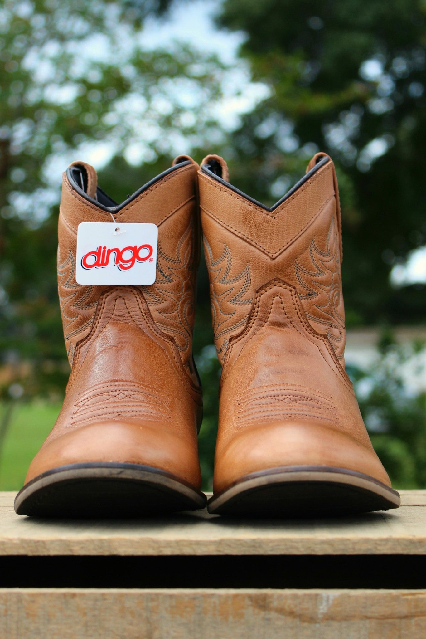 Dingo: Willie Boots, Brown