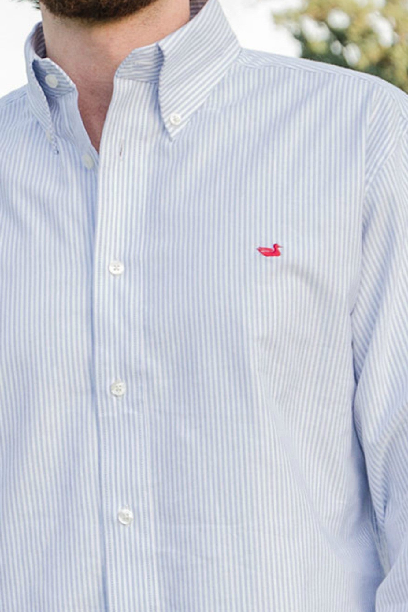 Southern Marsh: Striped Pintail Oxford Dress Shirt, Blue