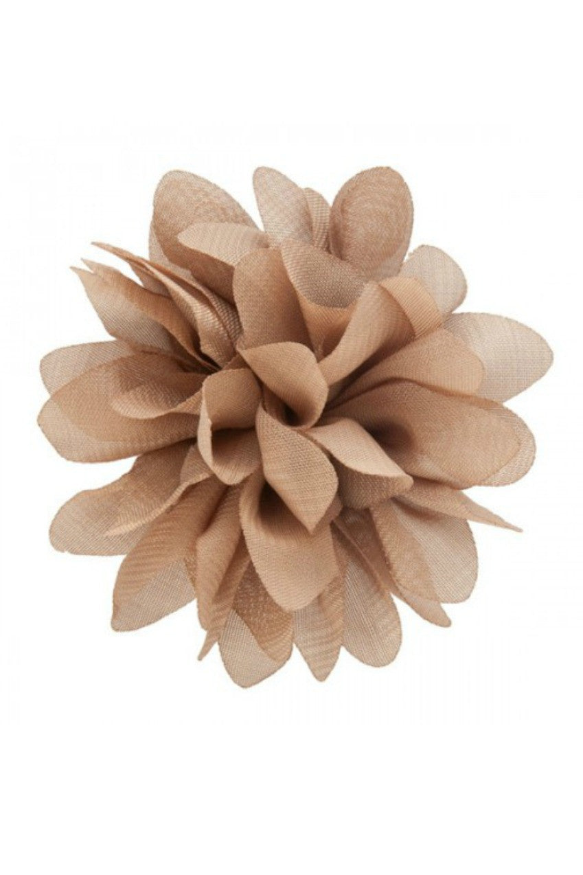 Lindsay Phillips: Abigail Snap, Brown