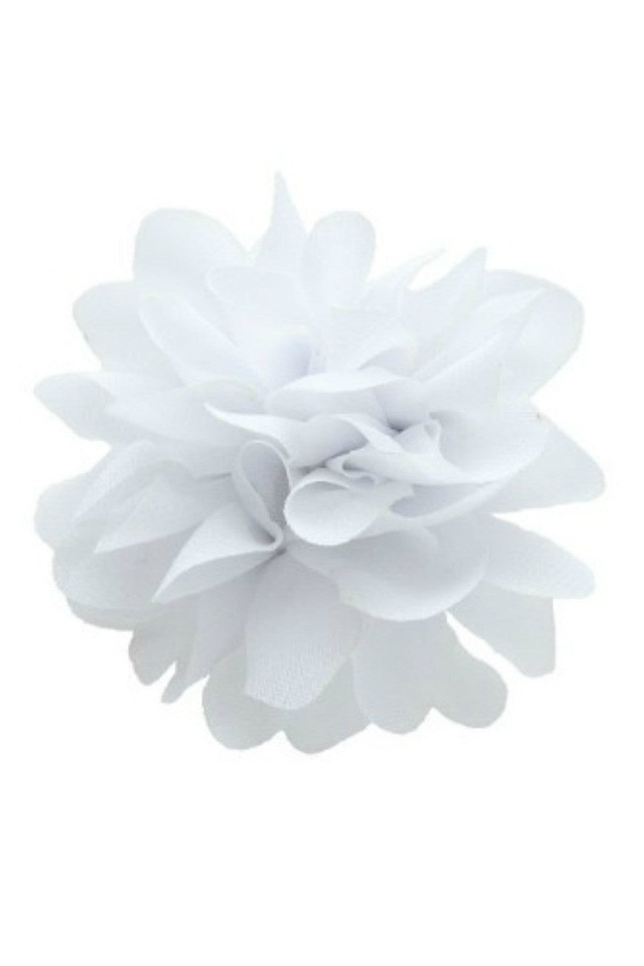 Lindsay Phillips: Rory Snap, White